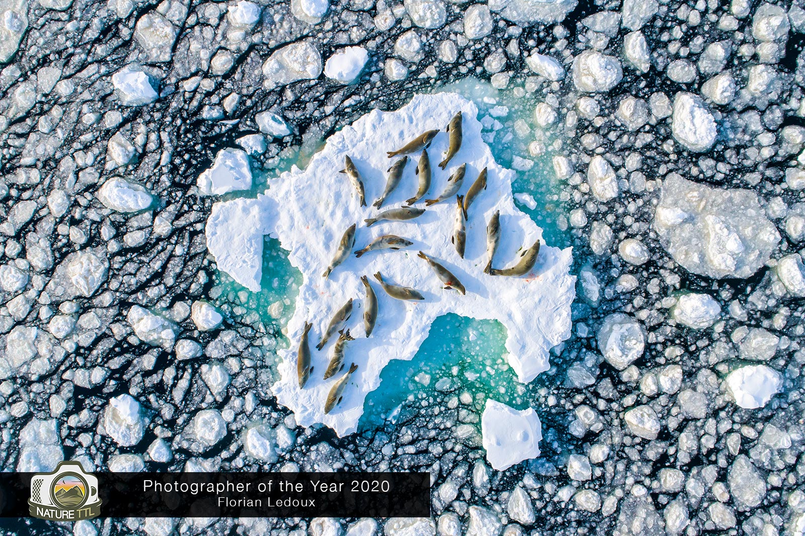 Winners of the Nature TTL Photographer of the Year 2020 Competition