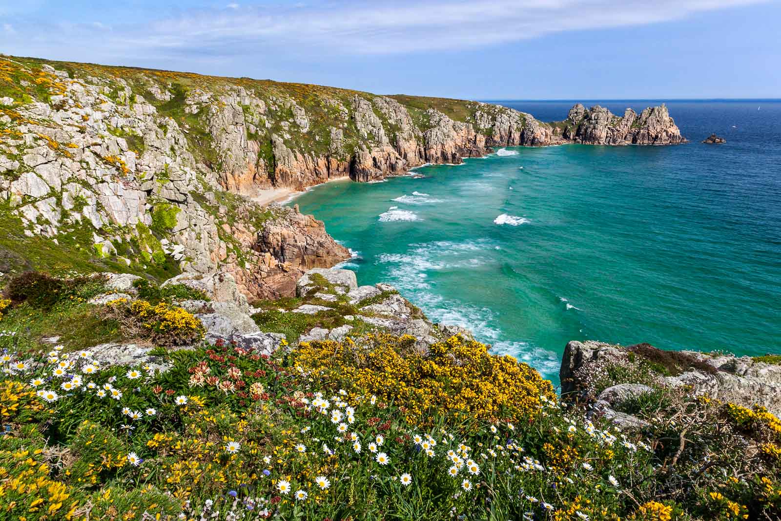 How to Photograph Spring Coastal Flowers in the UK Nature TTL