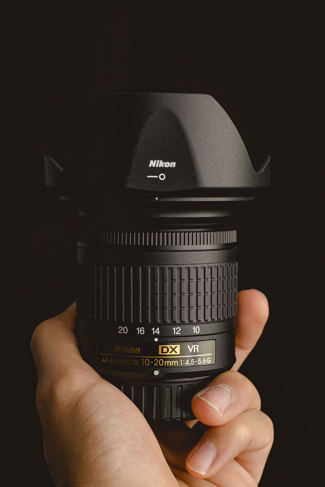 What Does a Lens Hood Do? Nature TTL