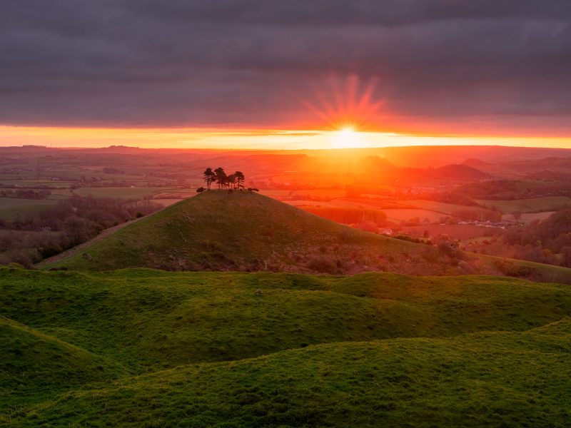 Colmer's Hill sunstar