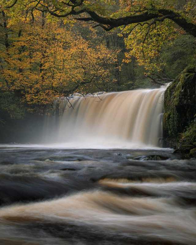 Autumn waterfall scene