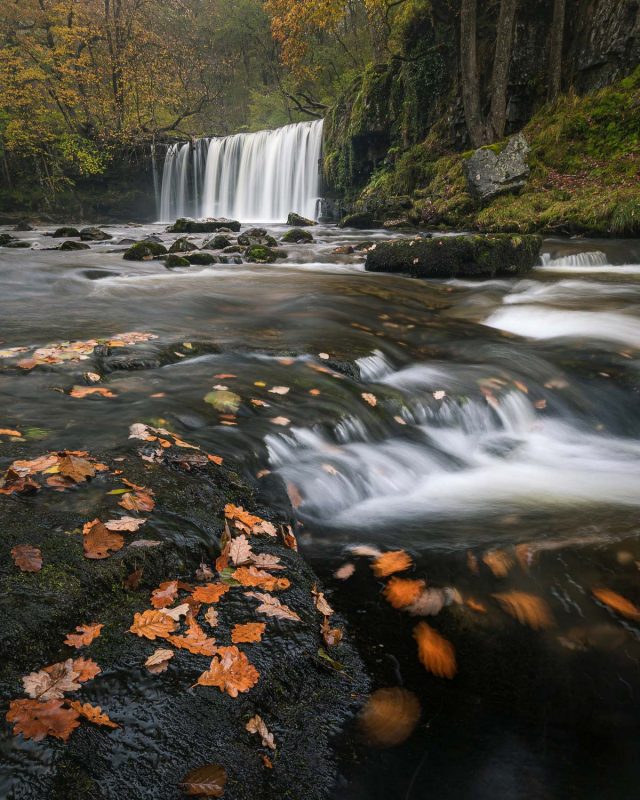 Waterfall landscape