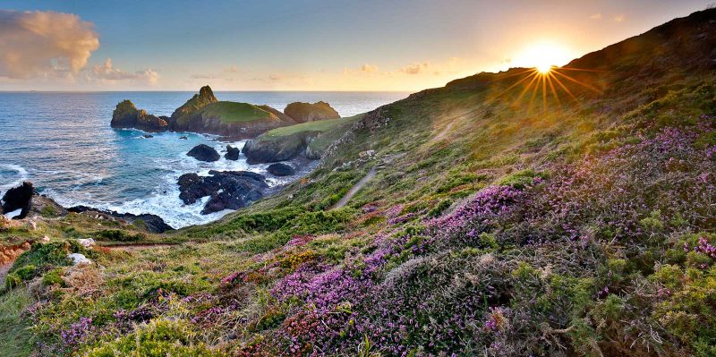 Kynance Cove Star burst