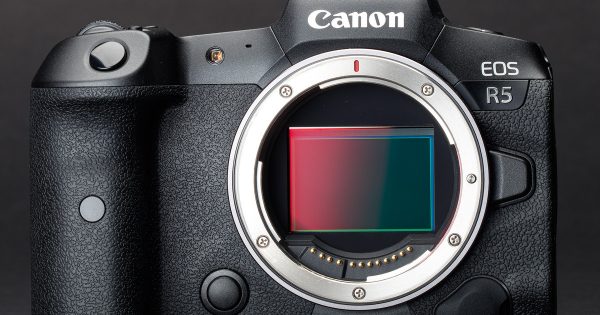 New EOS R5 Mirrorless Camera: 45MP, 20fps, 8K Video - Nature TTL