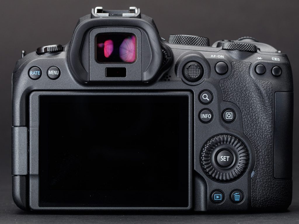 New Canon R6 Camera Excels in Low Light Situations - Nature TTL