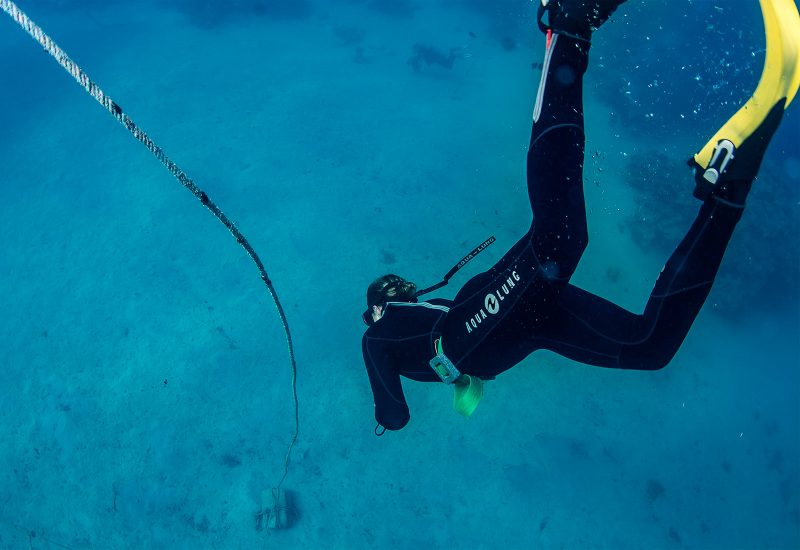 7 Tips for Beginners in Underwater Photography - Nature TTL