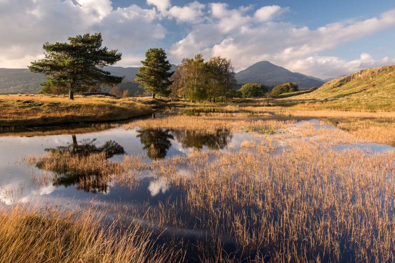 Kelly Hall Tarn