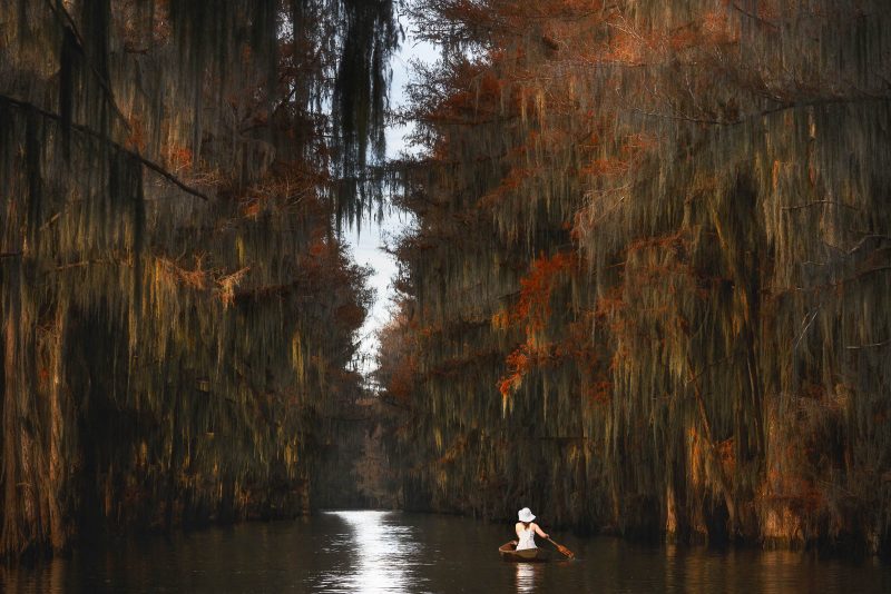 Woman canoeing through forest