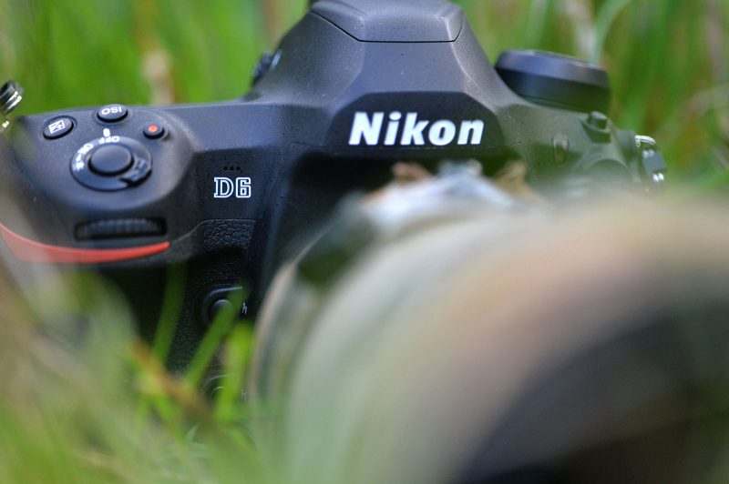 Nikon D6 Wildlife