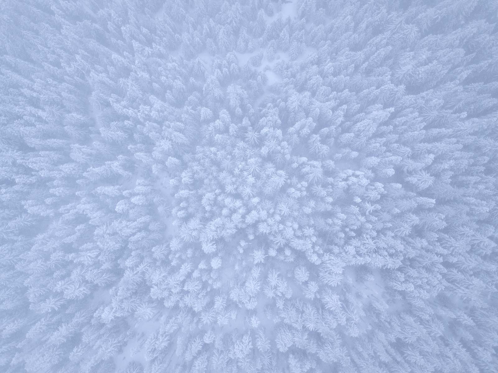 How to Take Aerial Photos Drones, Helicopters and Planes Nature TTL