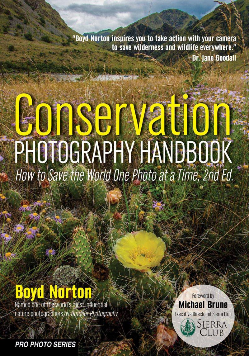 Nature Photography Books for Photographers this Christmas - Nature TTL