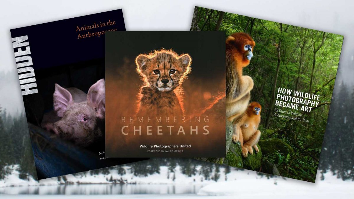 christmas-nature-photo-books-