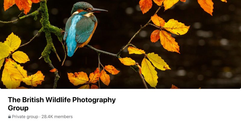 The British Wildlife Photography Group