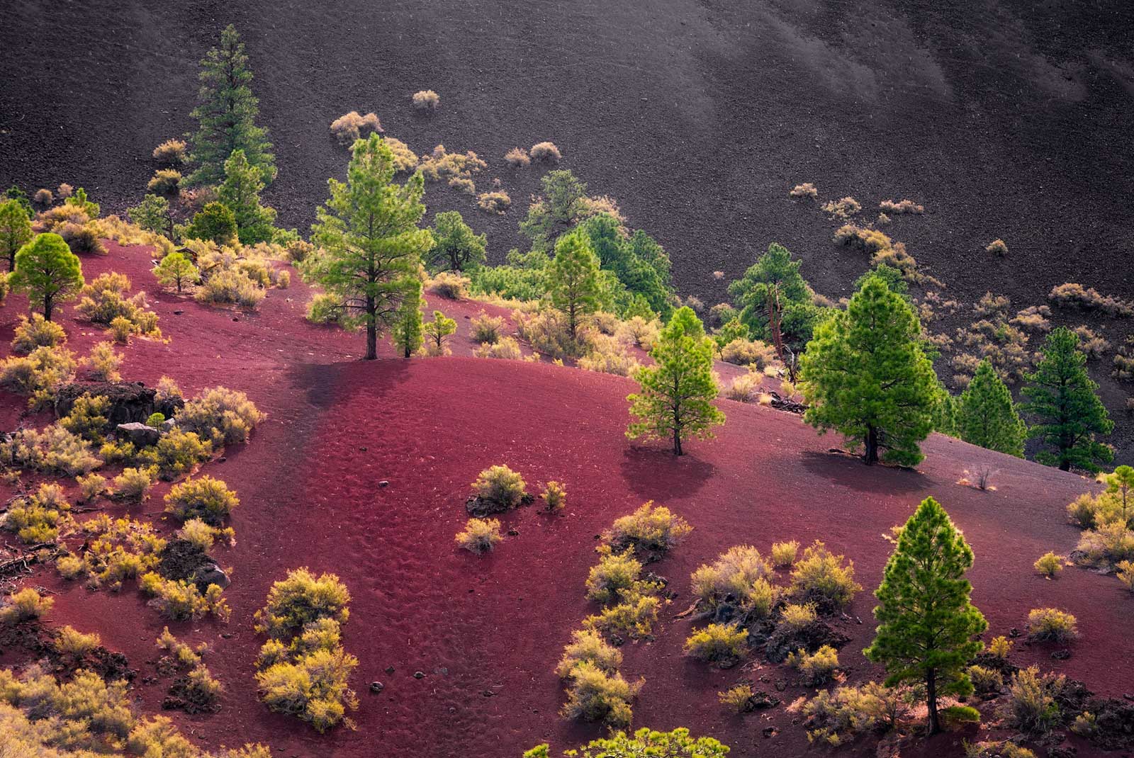 How to Frame Your Landscape Photos - Nature TTL