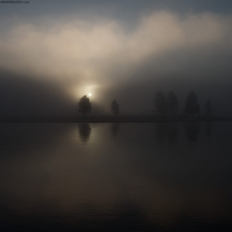 Foggy Sunrise