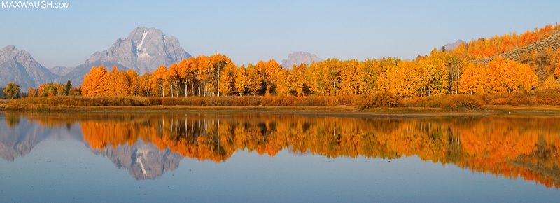 Oxbow Bend Landscape 