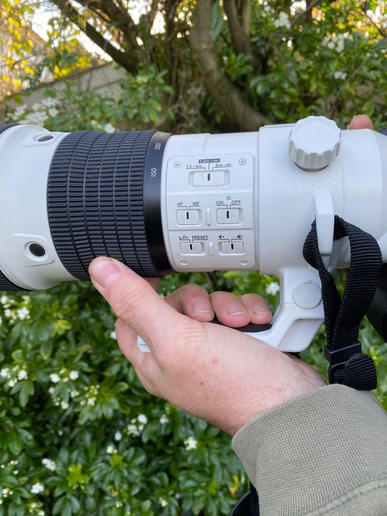 Olympus 150400mm f/4.5 Lens Review for Wildlife Photography Nature TTL