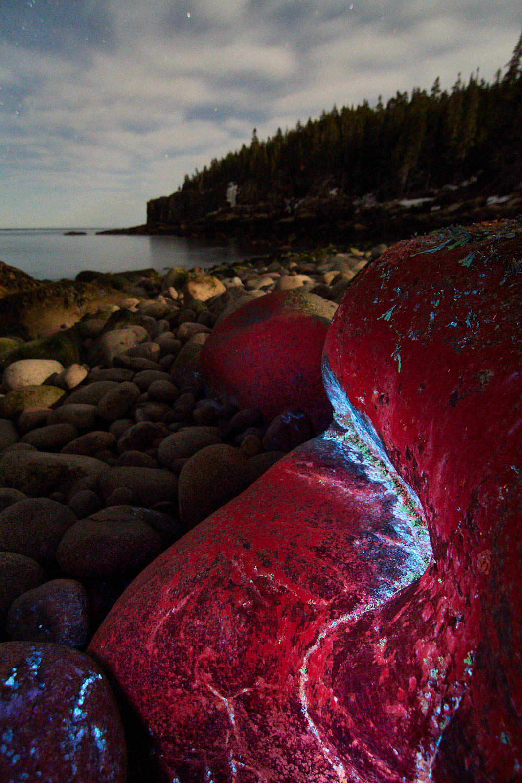 How to Use Ultraviolet Light for Creative Nature Photography Nature TTL