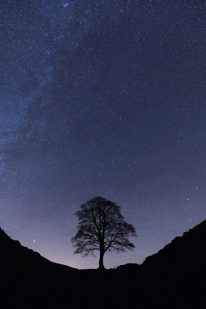 How to reduce the photo size