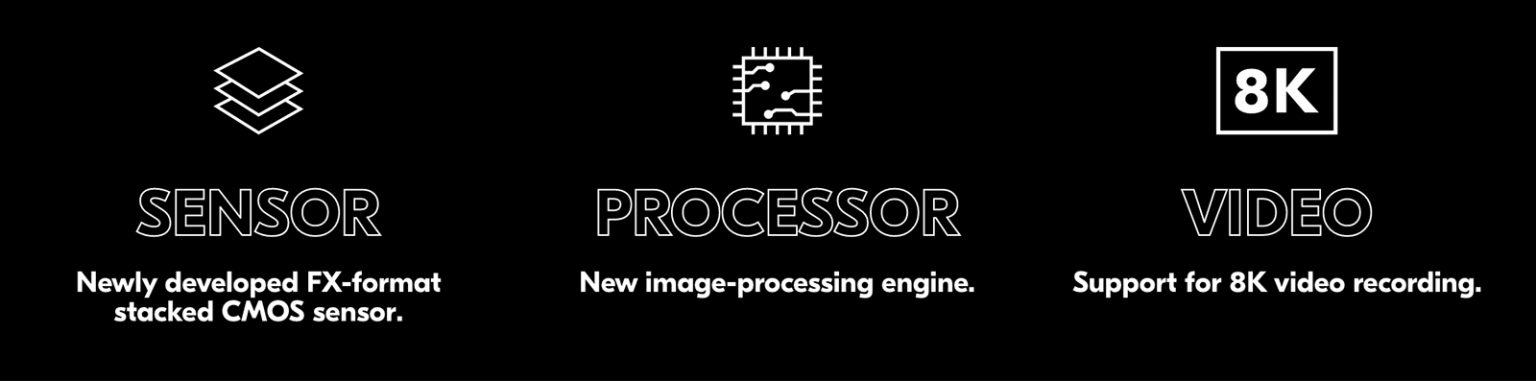 Nikon Confirms Z 9 Flagship Mirrorless Camera - Nature TTL