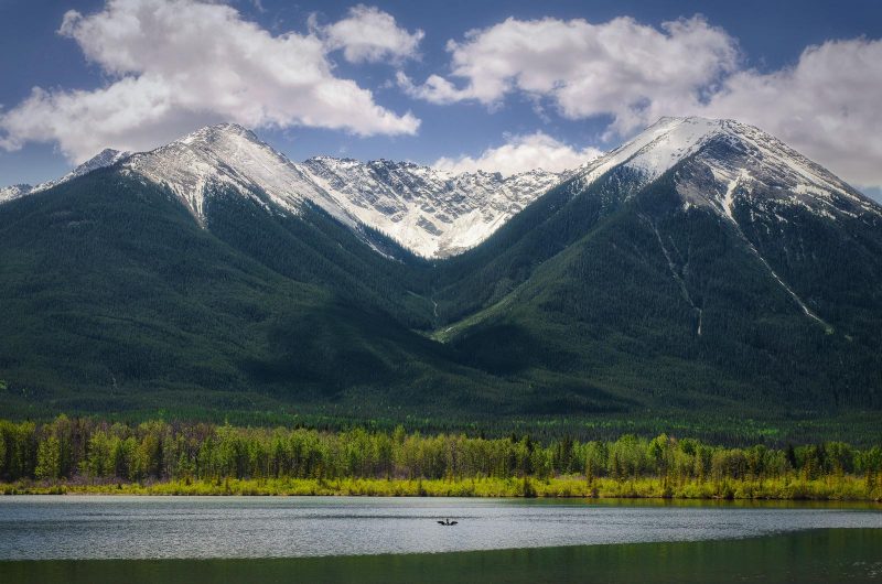 Lake and mountain environment with a loon in the lake