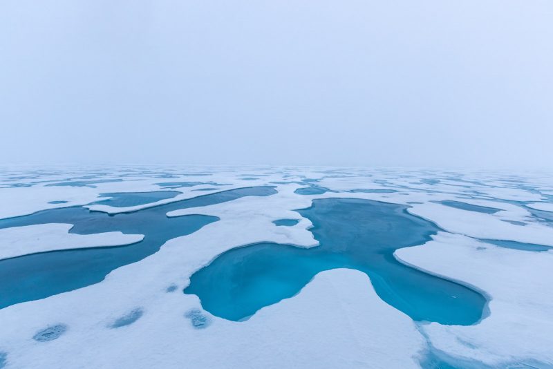 frozen sea in fog