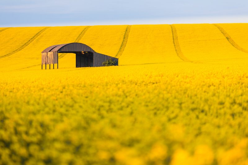 Sixpenny Handley Dorset