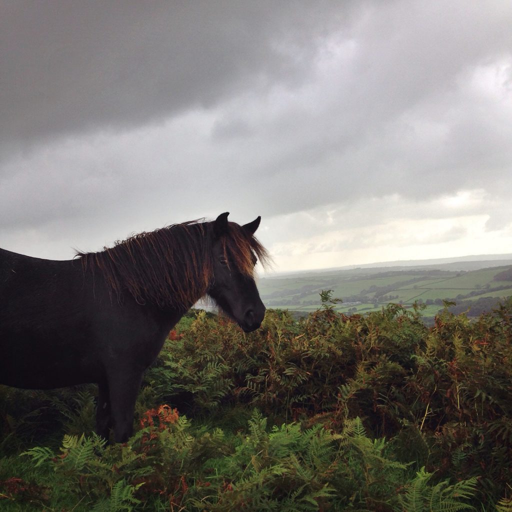 How to Use a Smartphone for Nature Photography Nature TTL