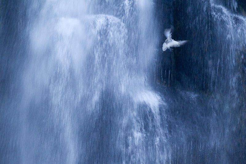 Photographing in the blue hour