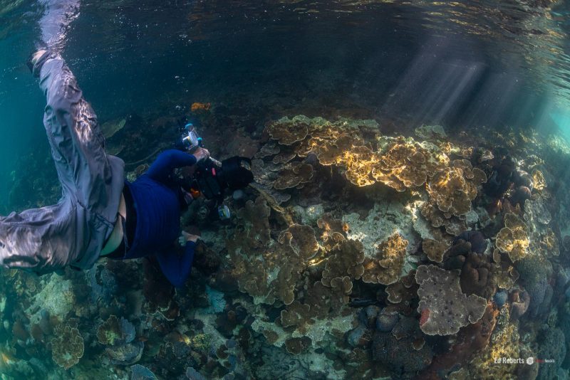 how to photograph reefscapes