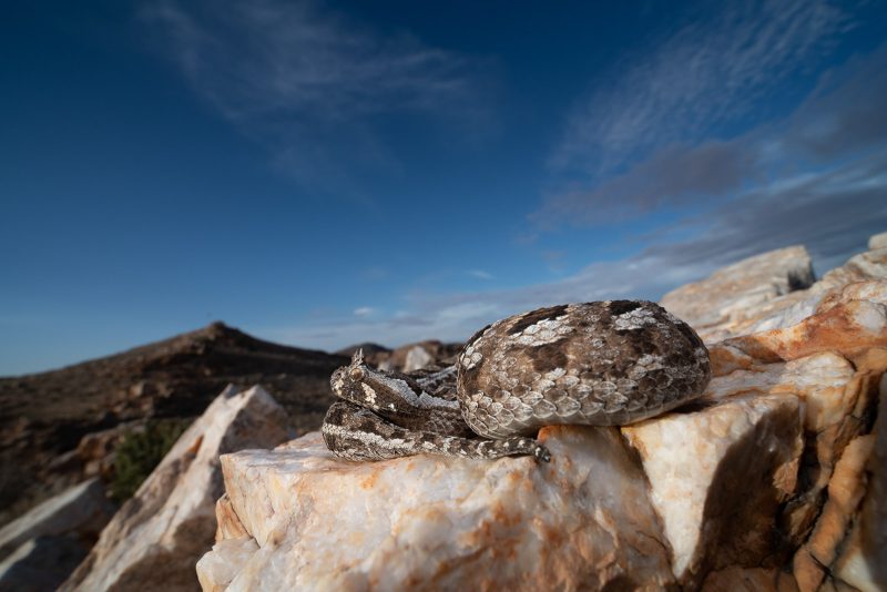 when to go to namibia photography