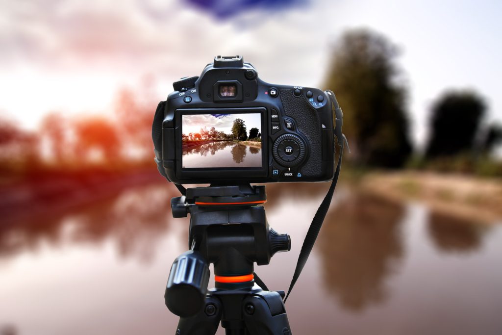 What Is Focus Stacking in Photography? Nature TTL