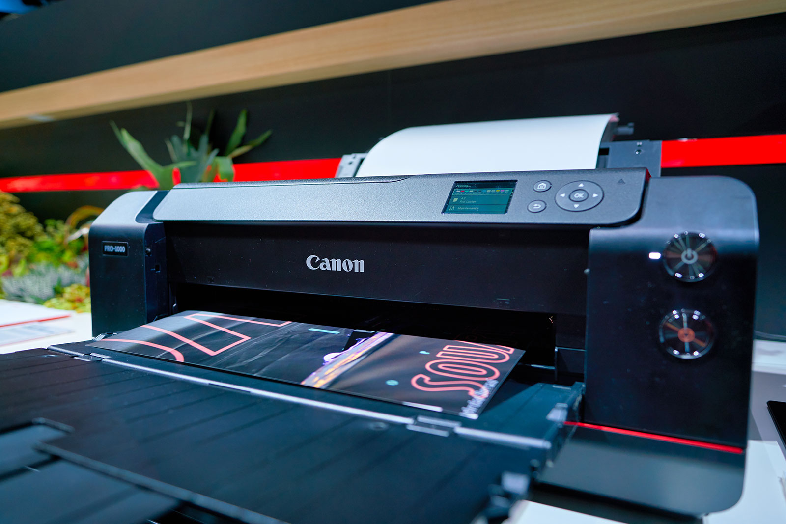 Selling Photography Prints: Making Money from Photos - Nature TTL