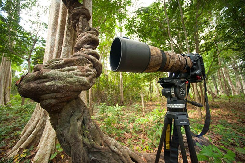 Travelling with a camera in tropical, humid environments