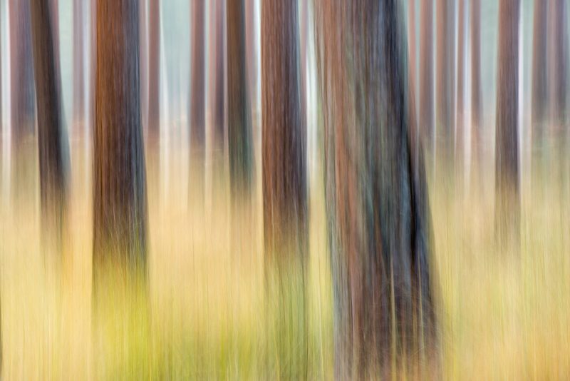 people in motion, ICM-Intentional Camera Movement, FRANcisco