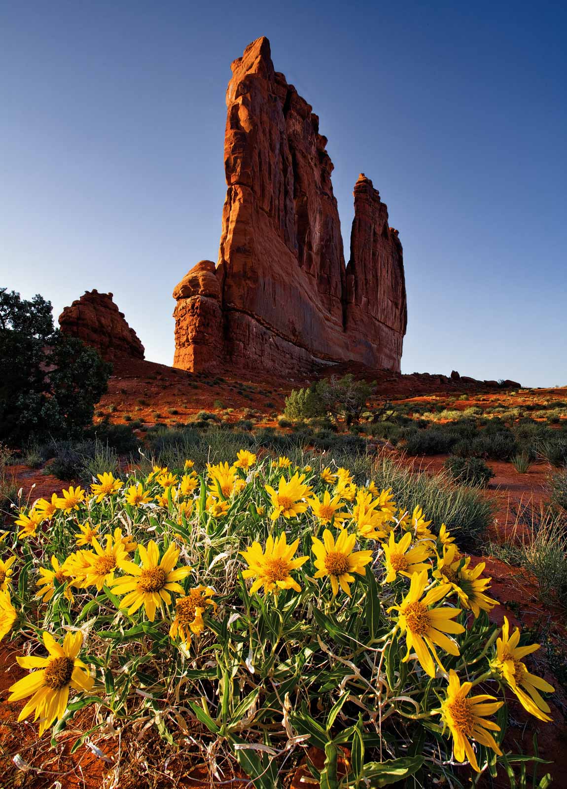 Photography Guide to Arches National Park - Nature TTL
