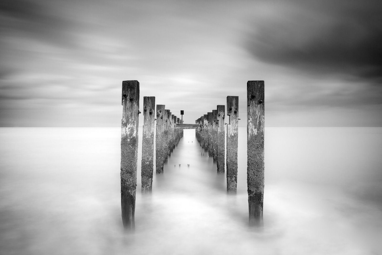 Black And White Photography Nature