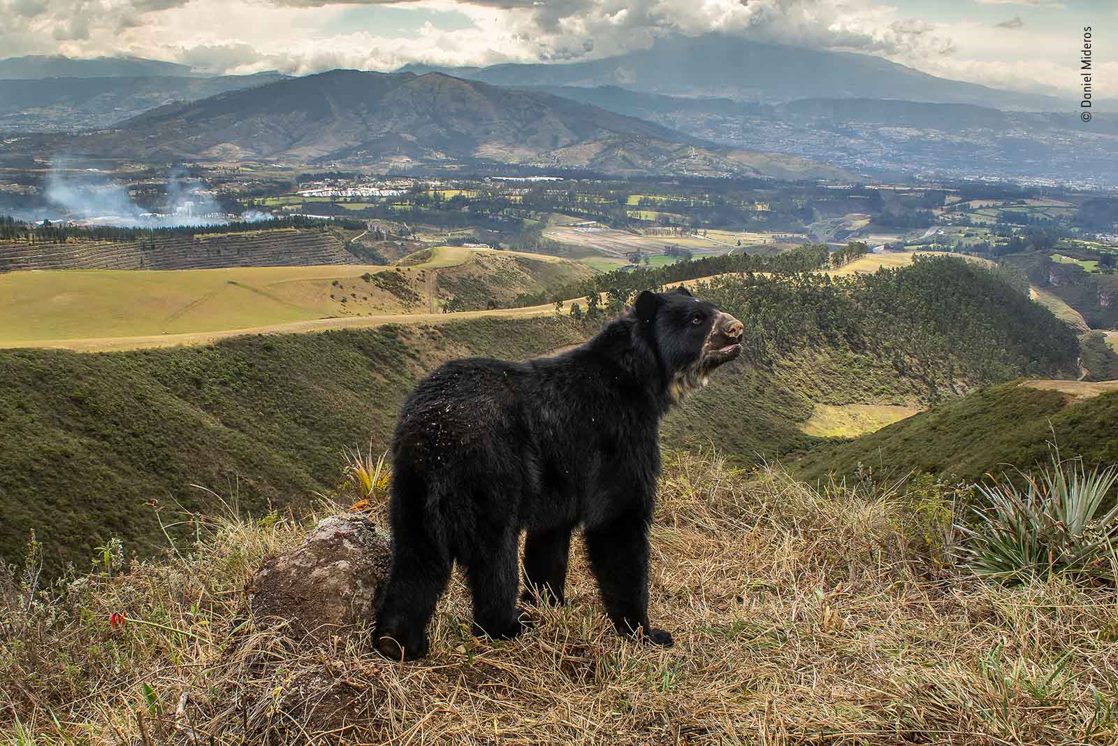 Winners of Wildlife Photographer of the Year 2022 Announced - Nature TTL