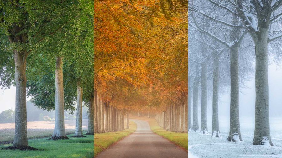 how to photograph the seasons