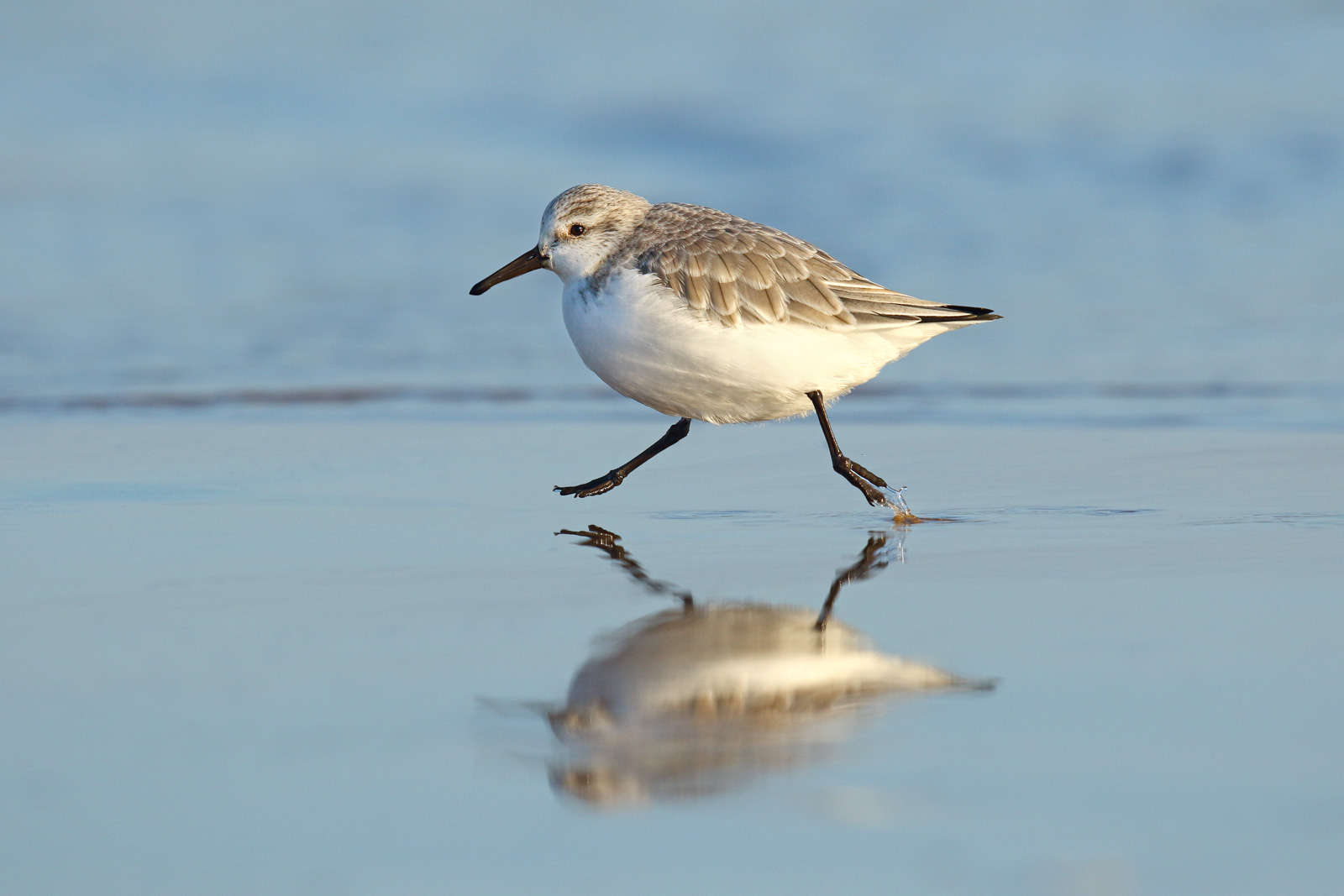 9 Best Places for Wildlife Photography in Yorkshire Nature TTL