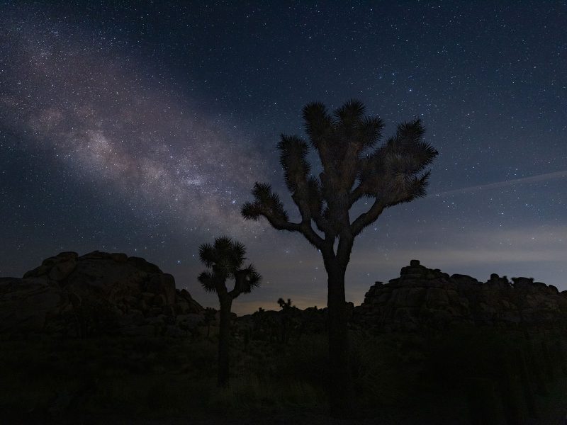 Looking for photographer for cool photos in Yucca Valley mid October :  r/JoshuaTree