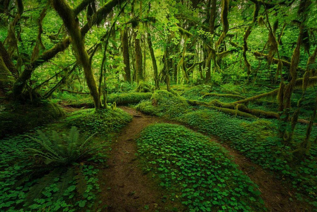 Fine Art Landscape Photography Guide - Nature TTL