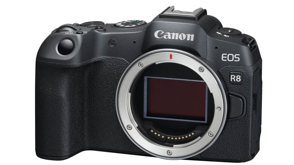 Canon's New EOS R8 Shoots 24 Megapixel Photos at up to 40fps - Nature TTL