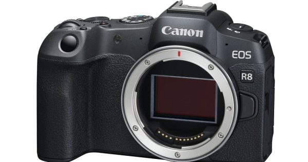 eos_r8_body_2-600x315-cropped.jpg