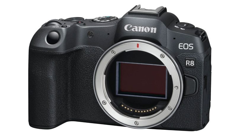 Canon EOS R8 美品 Amazon.com : Canon EOS R8 Mirrorless Camera (Body Only