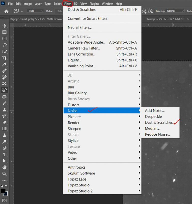 how to dust and scratch in photoshop and Lightroom