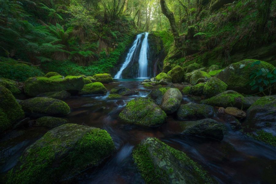 How to Use Focus Stacking for Landscape Photography - Nature TTL