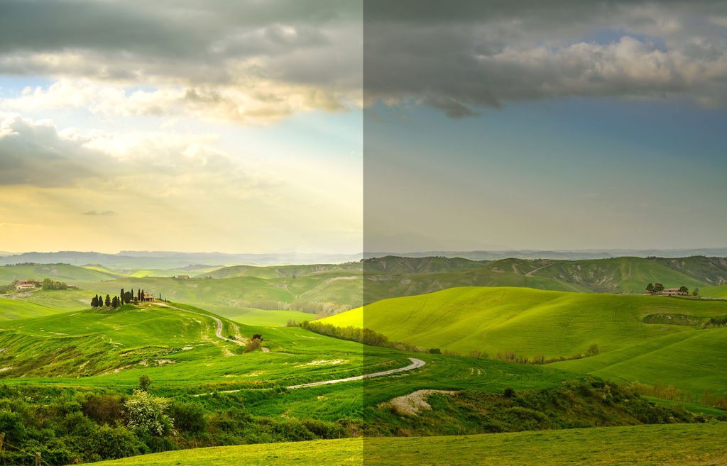 Exposure Compensation The Complete Beginner's Guide Nature TTL