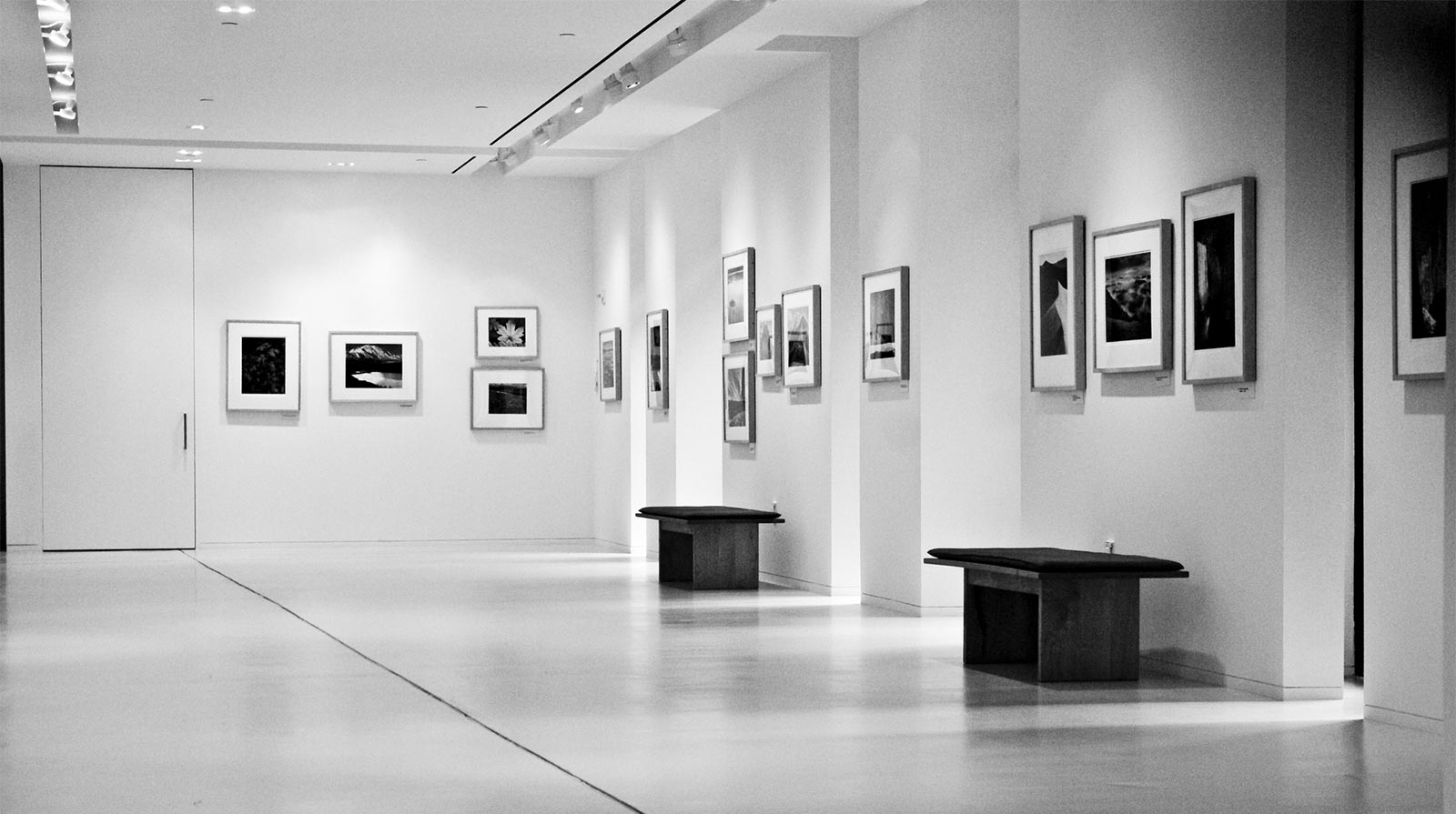 How Big Can I Print My Photo? Nature TTL