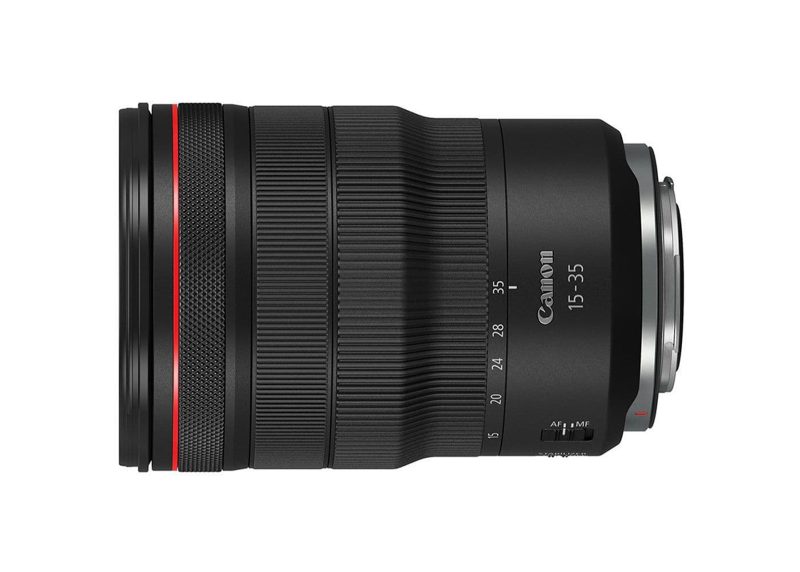 Best Canon RF lenses for wildlife - Amateur Photographer